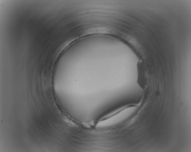 X0000081301081200702082038