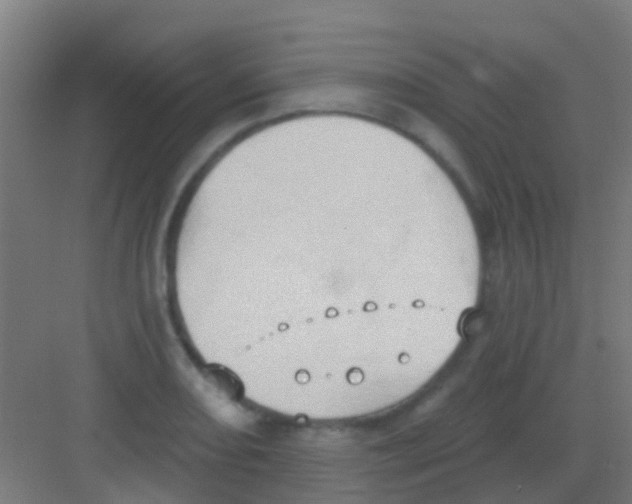 X0000081301082200702082038