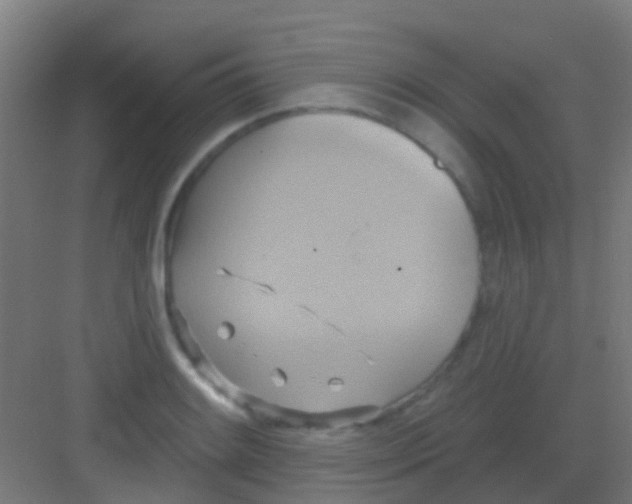 X0000081301084200702082038