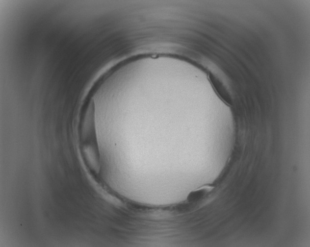 X0000081301085200702082038