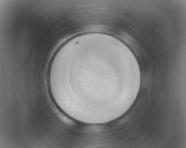 X0000081301086200702082038