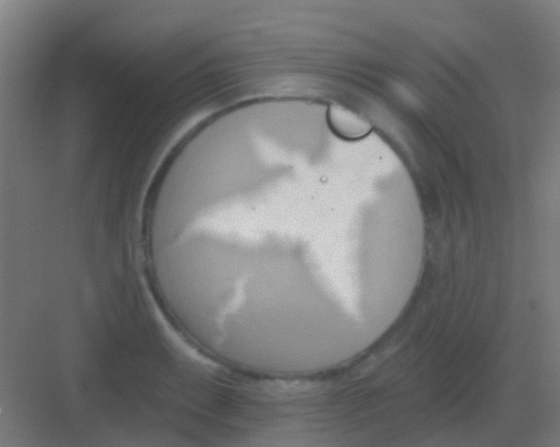 X0000081301087200702082038