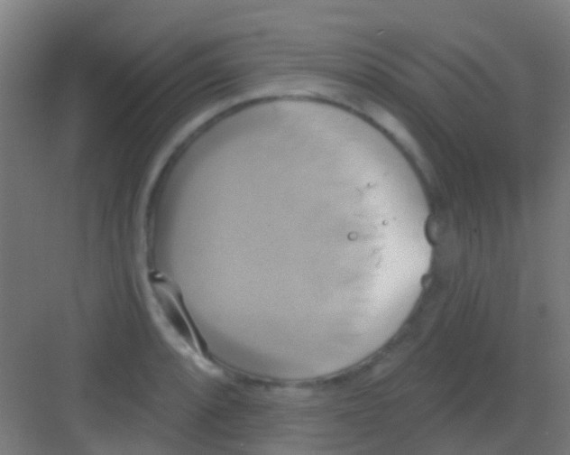 X0000081301088200702082038