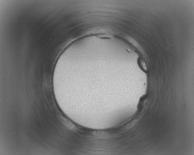 X0000081301089200702082038