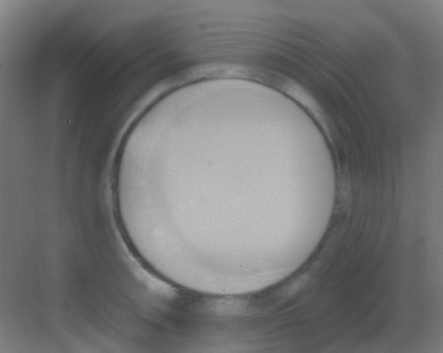 X0000081301090200702082038