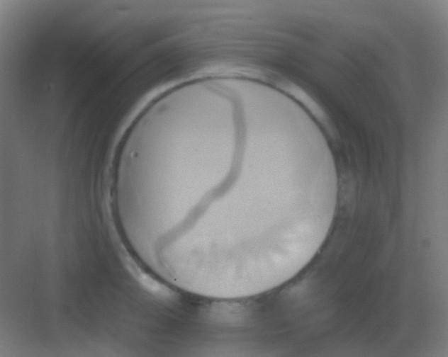 X0000081301094200702082038