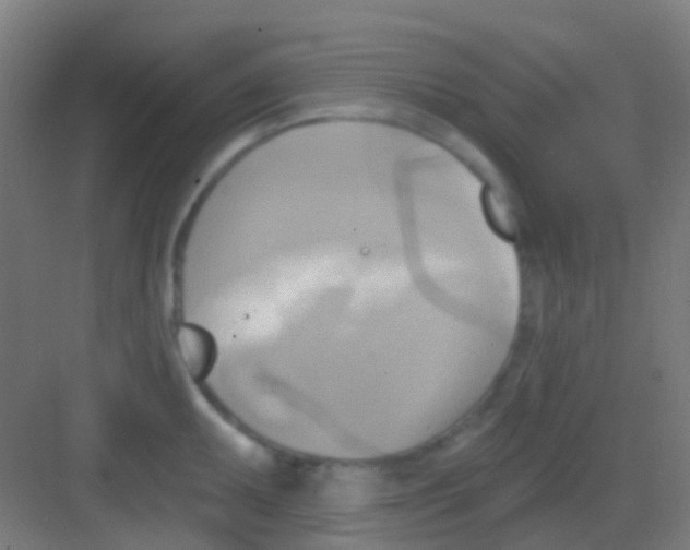 X0000081301095200702082038