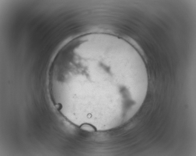 X0000081301096200702082038