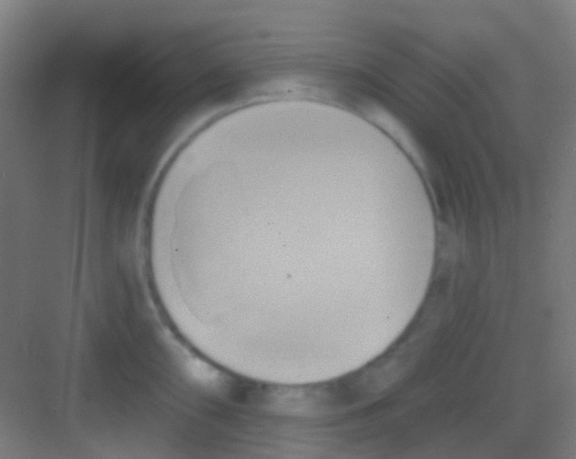 X0000081301098200702082038