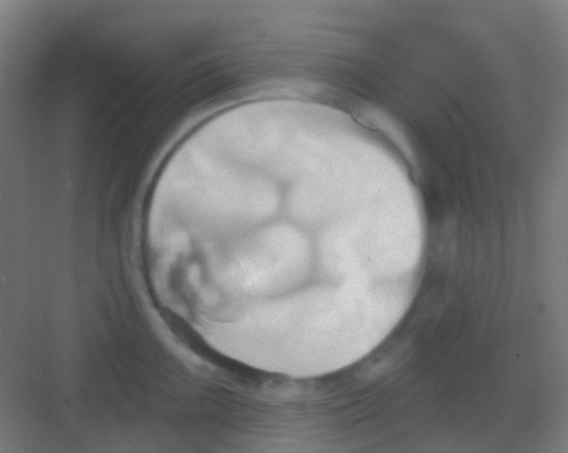 X0000081301099200702082038