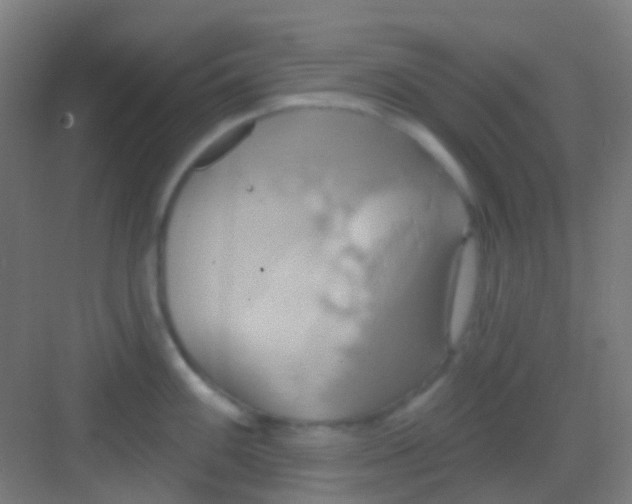 X0000081301100200702082038