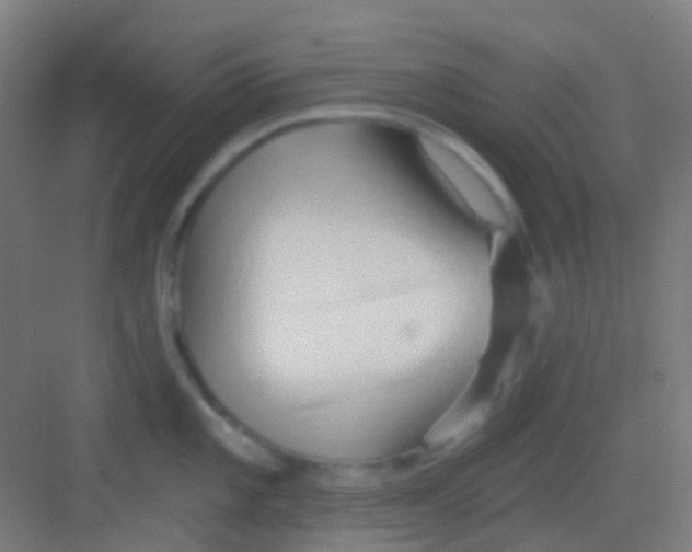 X0000081301101200702082038