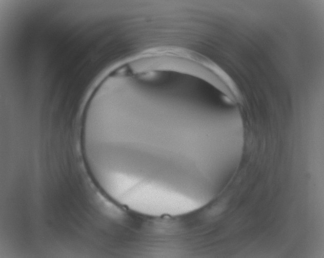 X0000081301102200702082038