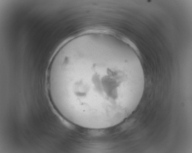 X0000081301103200702082038