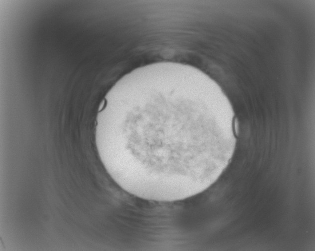 X0000081301105200702082037