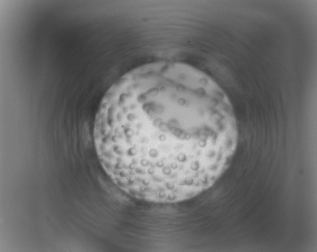 X0000081301106200702082037