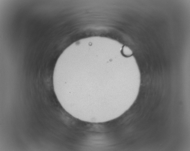 X0000081301109200702082037