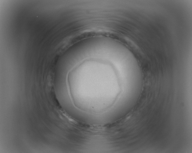 X0000081301110200702082037