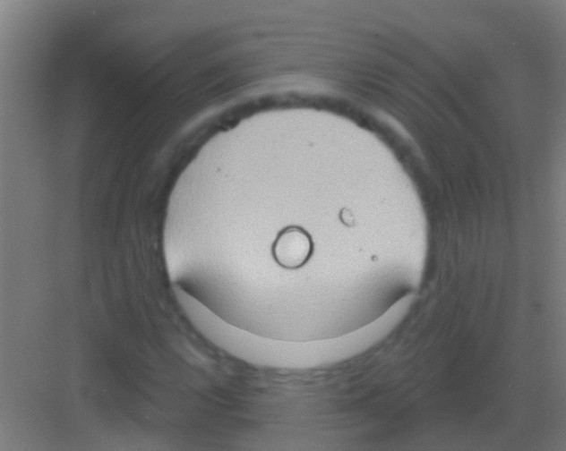 X0000081301112200702082037