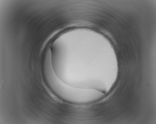 X0000081301114200702082037