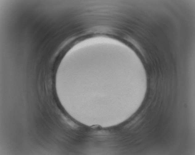 X0000081301115200702082037