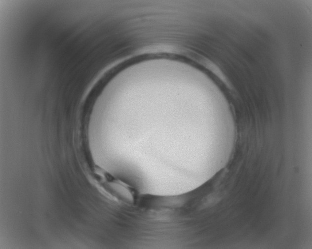 X0000081301116200702082037