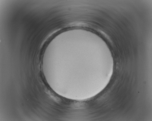 X0000081301117200702082037