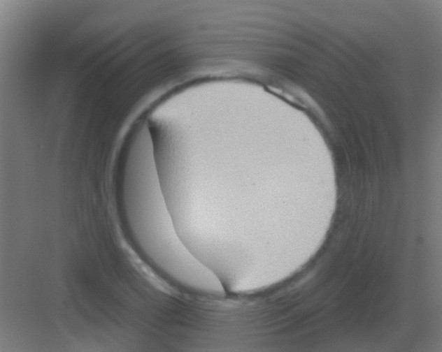 X0000081301122200702082037