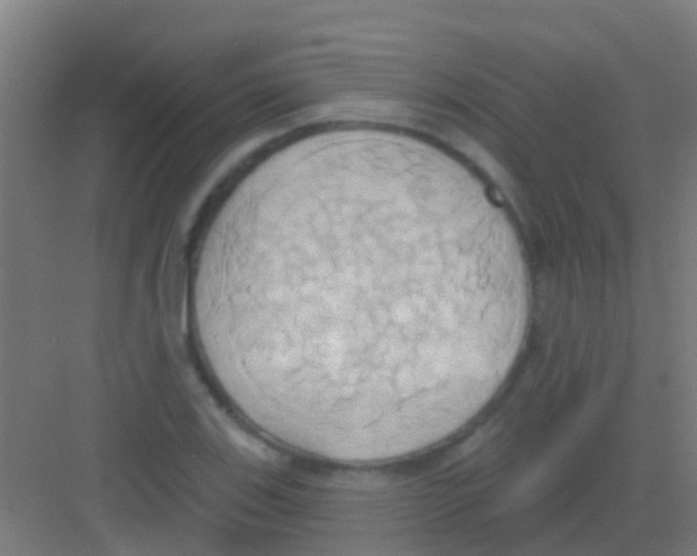 X0000081301123200702082037