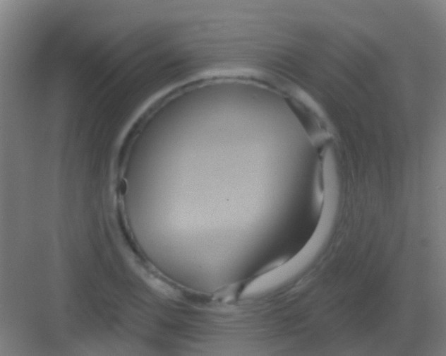 X0000081301124200702082037