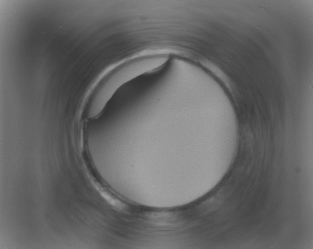 X0000081301127200702082037