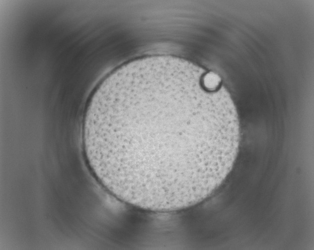 X0000081301130200702082037