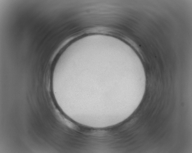 X0000081301131200702082037