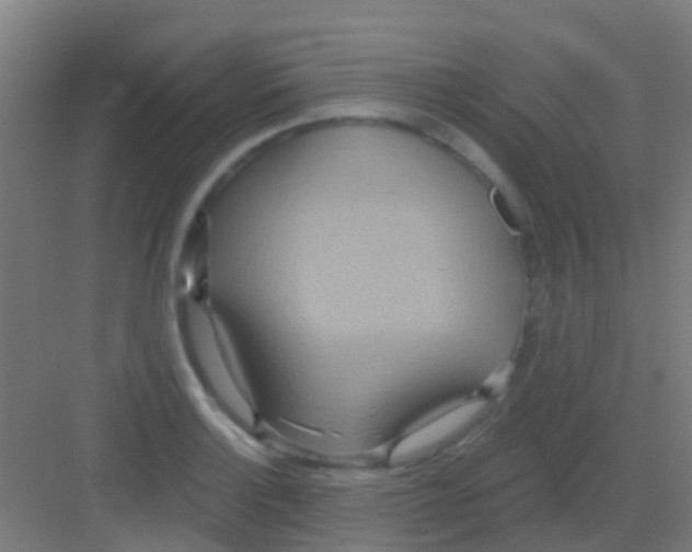 X0000081301132200702082037