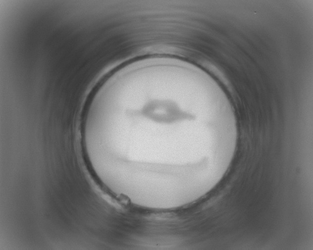 X0000081301133200702082037