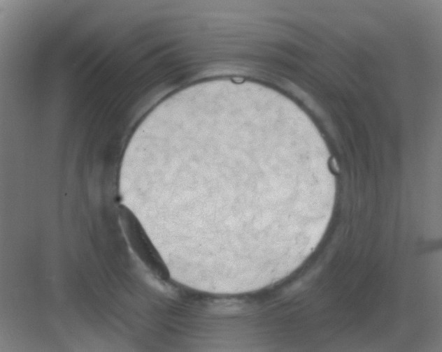 X0000081301137200702082038