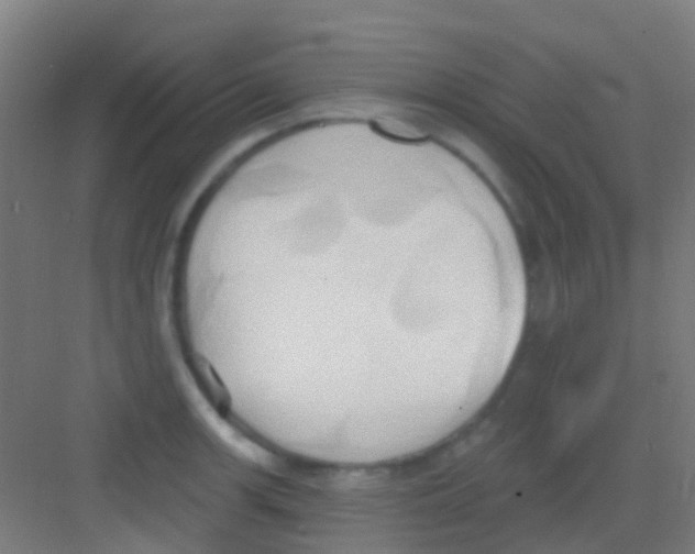 X0000081301139200702082038