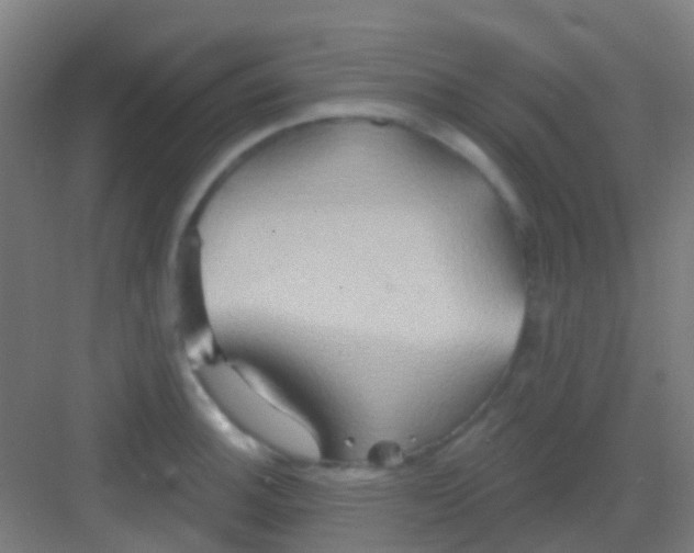 X0000081301140200702082038