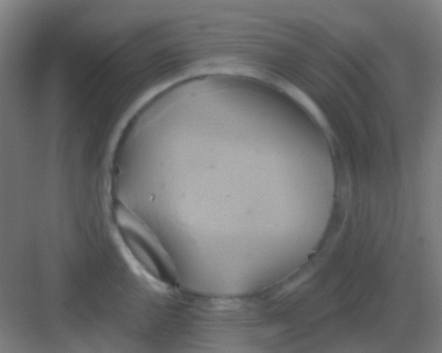 X0000081301144200702082038