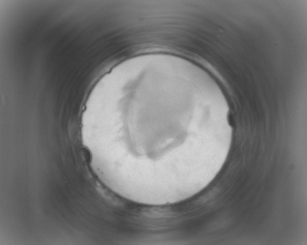 X0000081301145200702082038