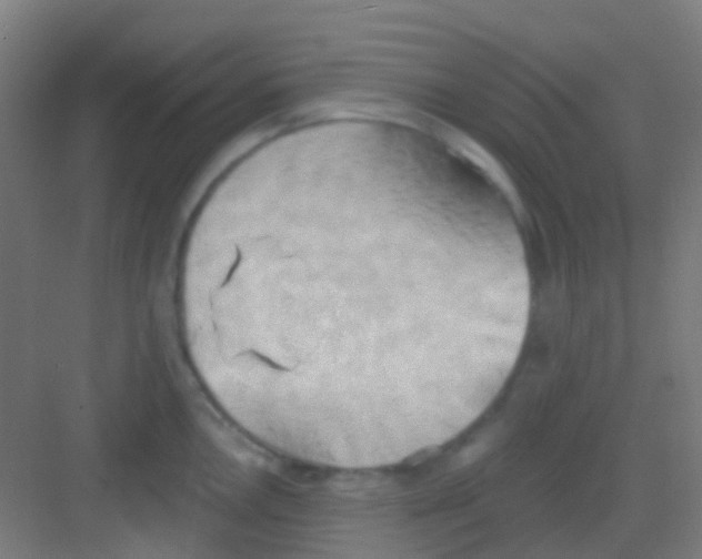 X0000081301146200702082038