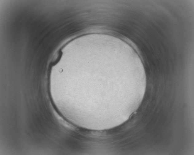 X0000081301147200702082038