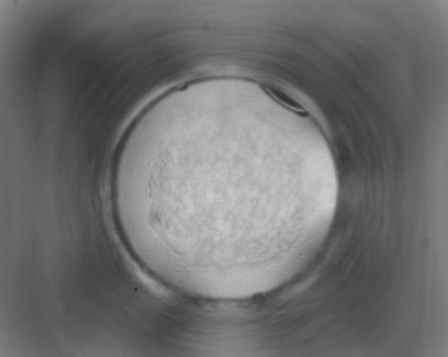 X0000081301149200702082038