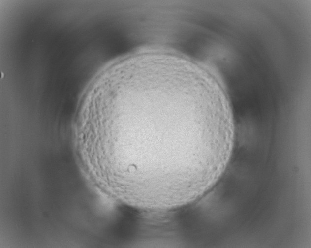 X0000081301150200702082038