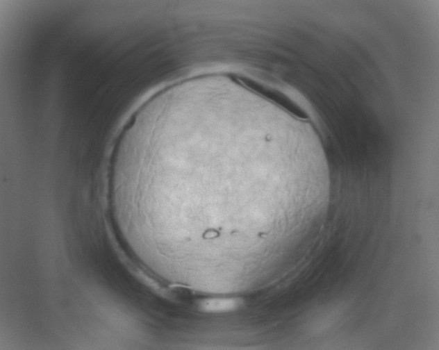 X0000081301151200702082038