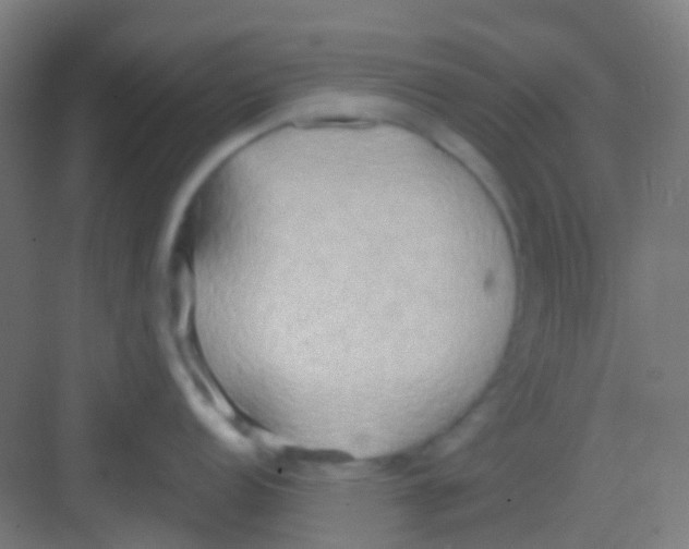 X0000081301152200702082038