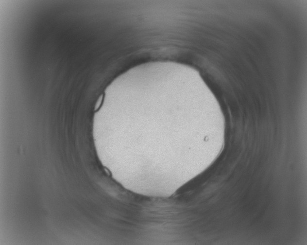 X0000081301153200702082037