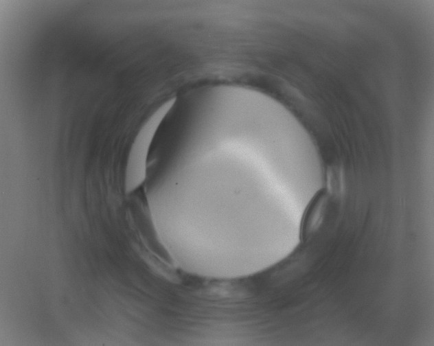 X0000081301155200702082037