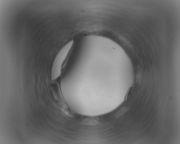 X0000081301156200702082037