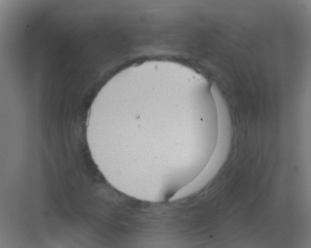 X0000081301157200702082037